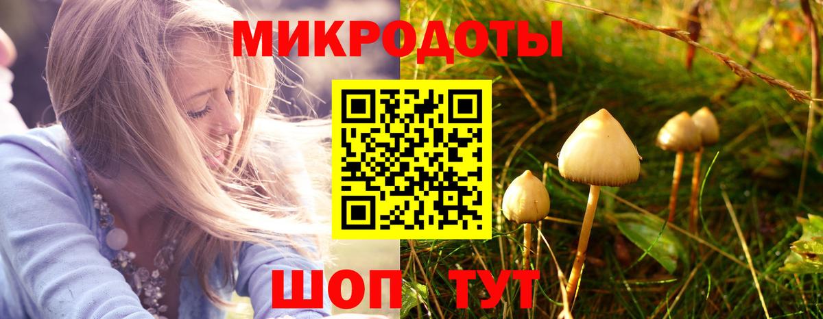 Волхов  Галлюциногенные грибы Cubensis  Вход с VPN  Галлюциногенные грибы Magic Shrooms 