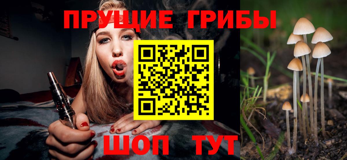 Галлюциногенные грибы Psilocybe Волхов